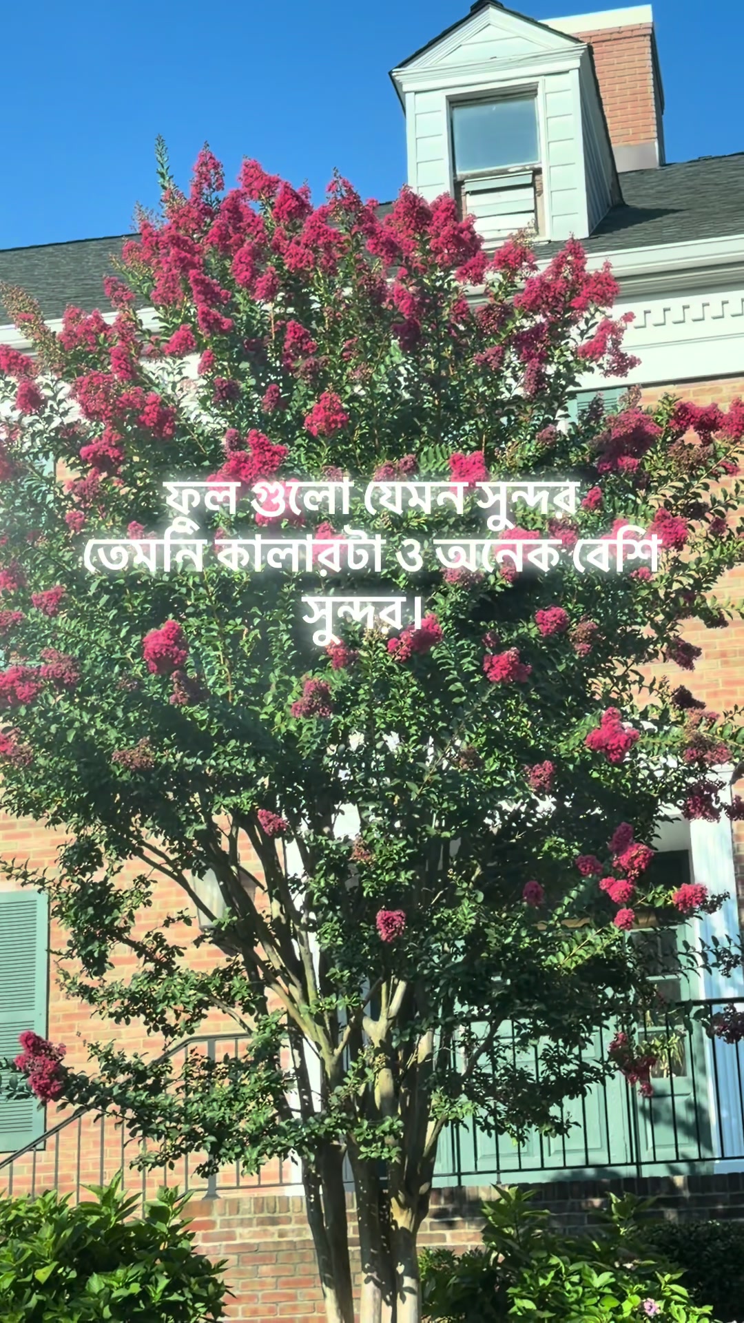 @Mukta Jahan