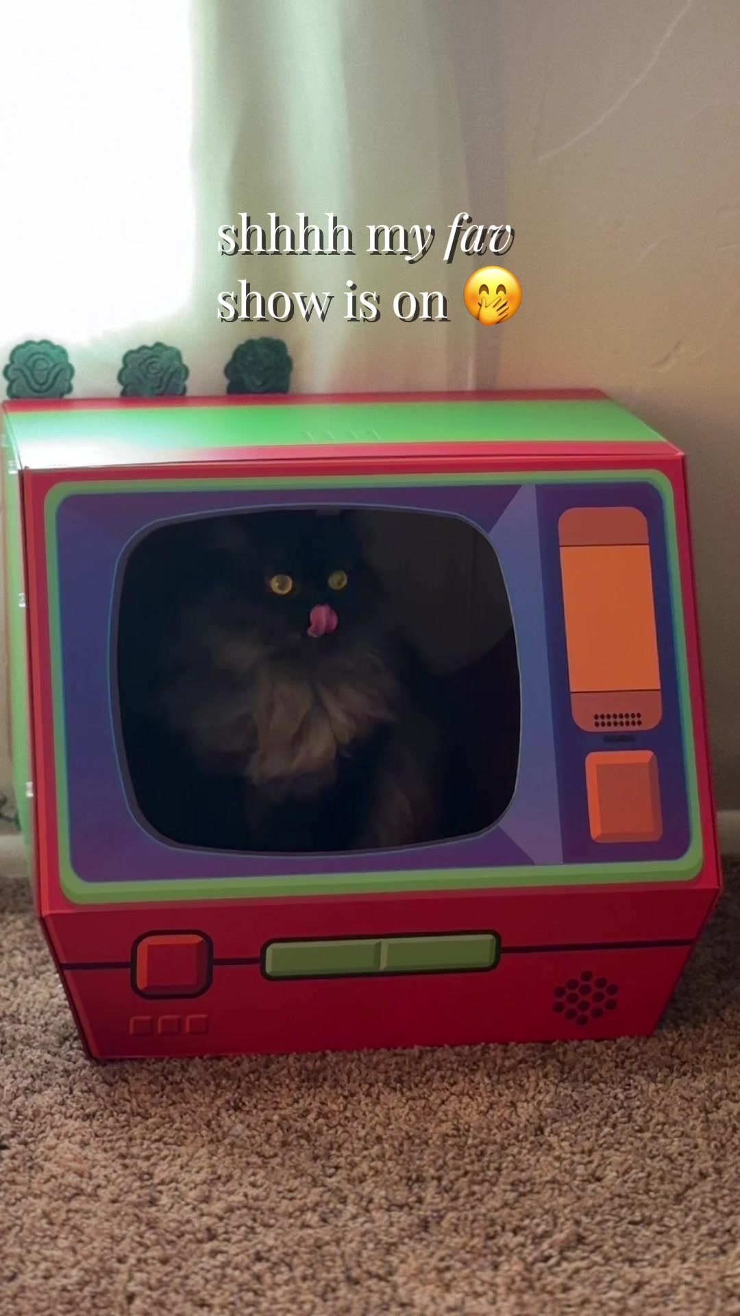 @my3catz 🐈🐈⬛🐈 | UGC