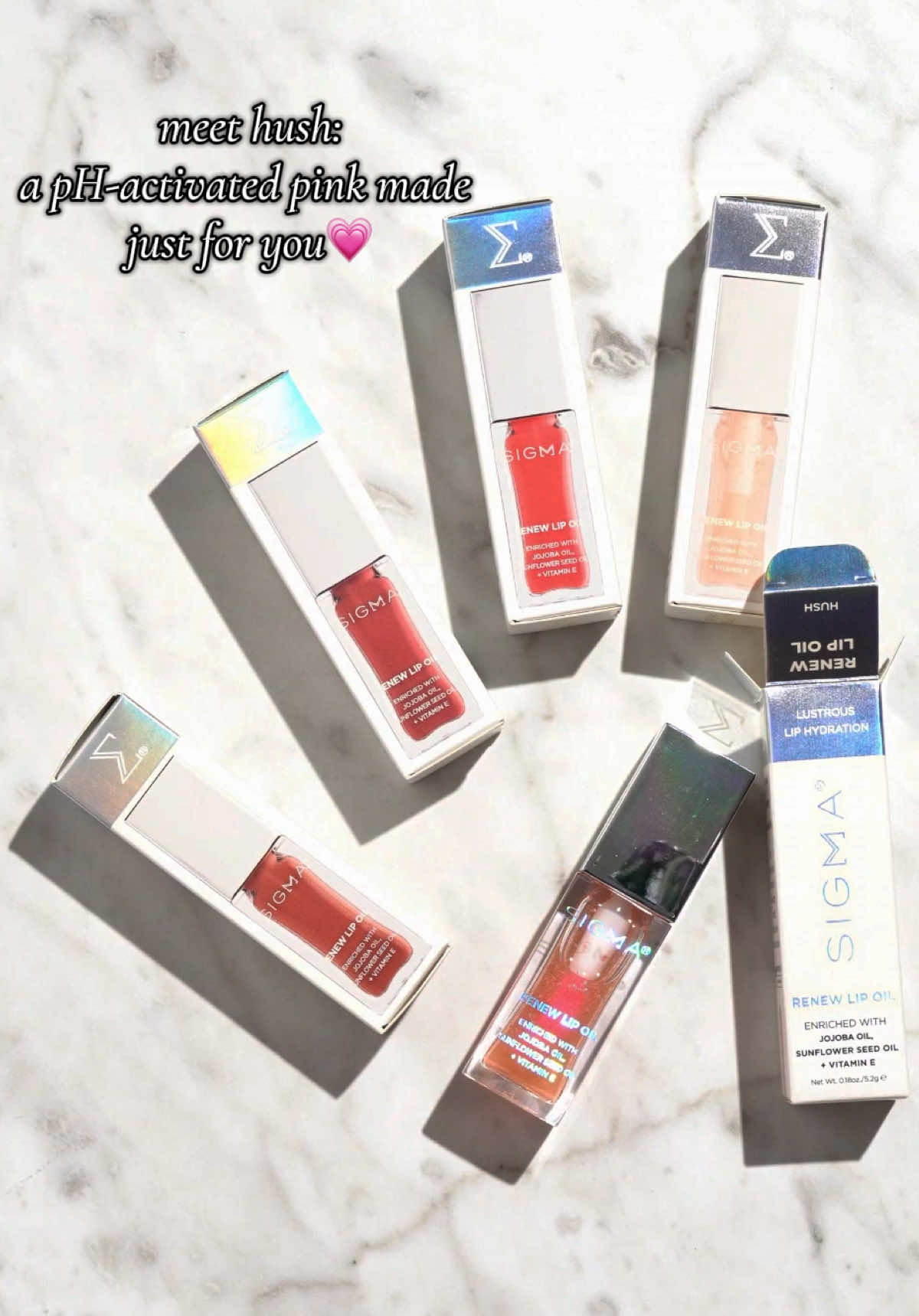 @Sigma Beauty