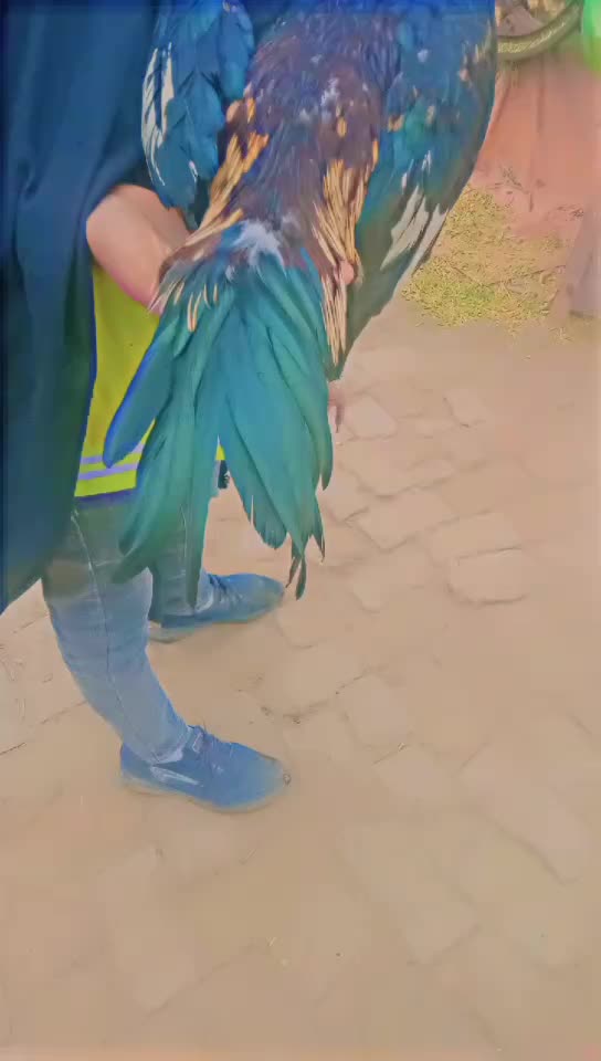 @Roban Roban🥰