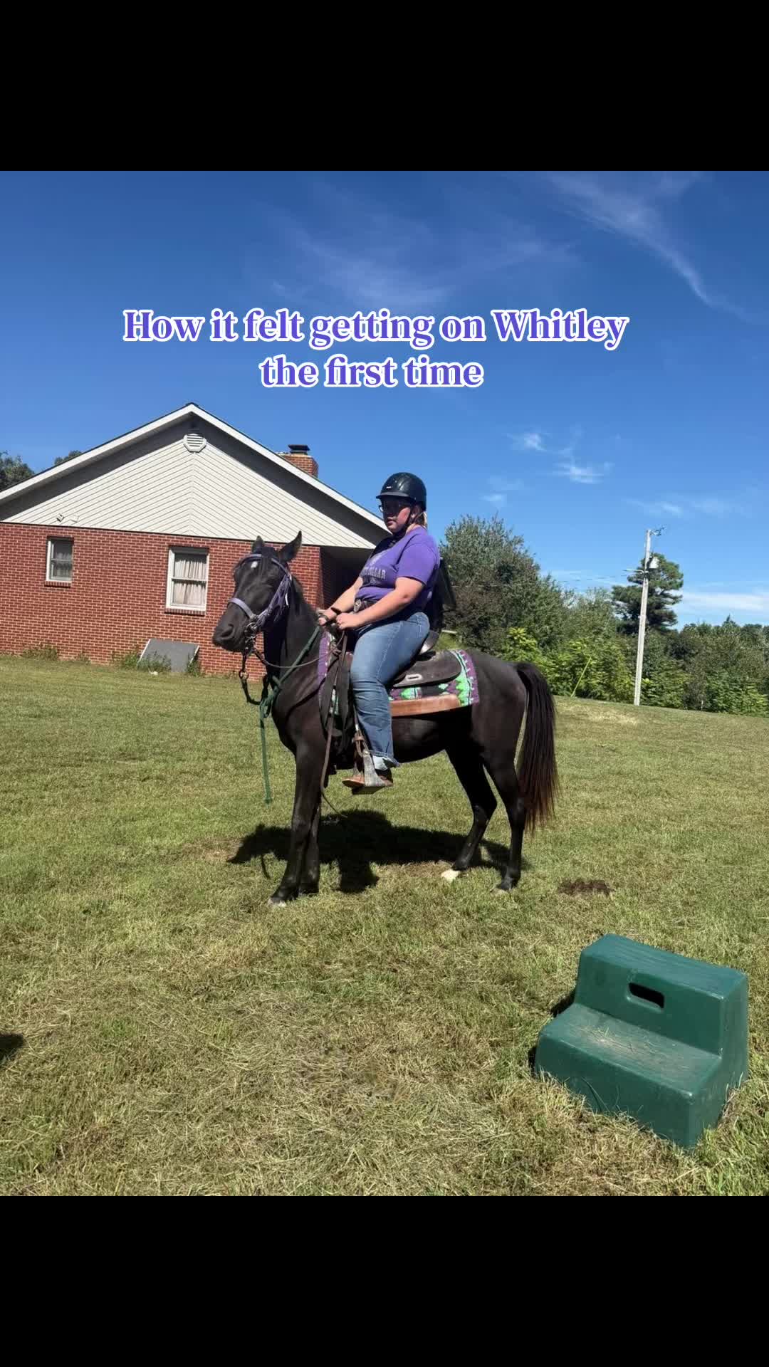 @EightyDollarStables