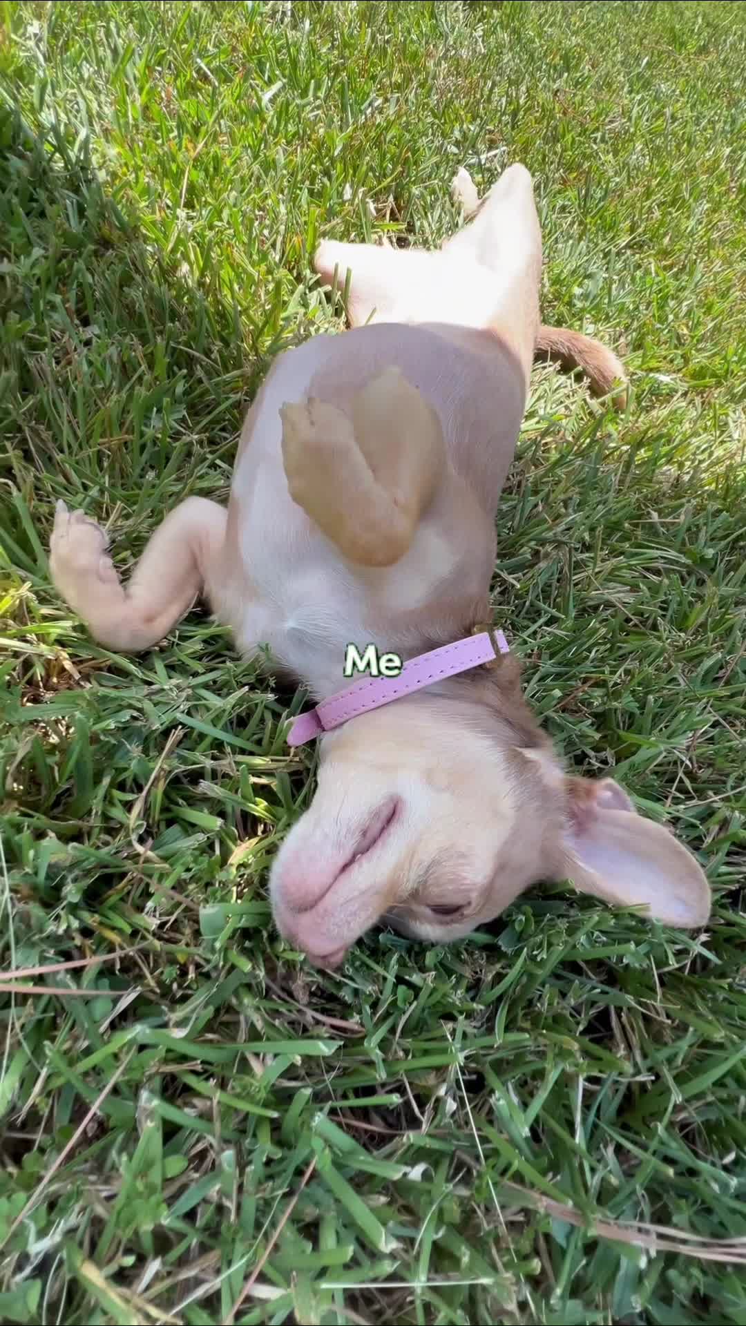 @Roxie Roux