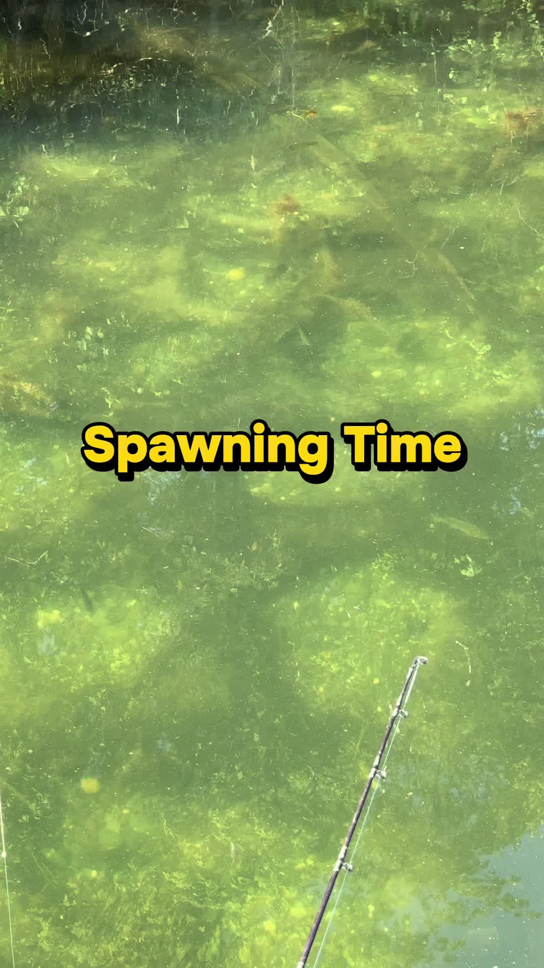 @ChrisFishOutdoors