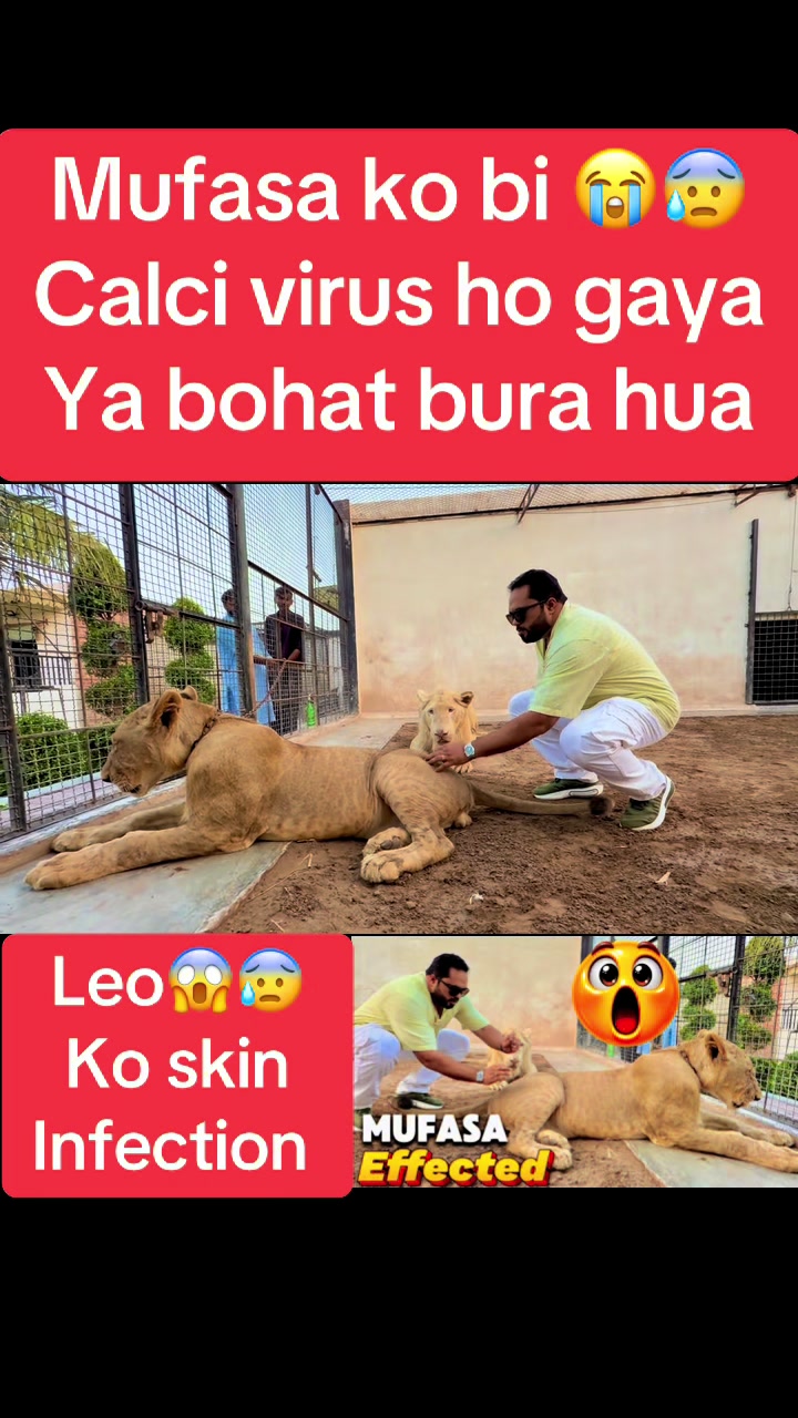 @Mian saqib