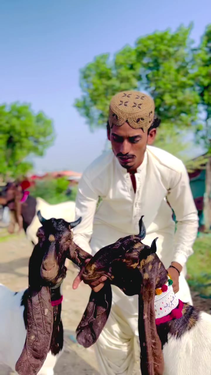 @✨.زاهد سولنگي واپاري. 🐐