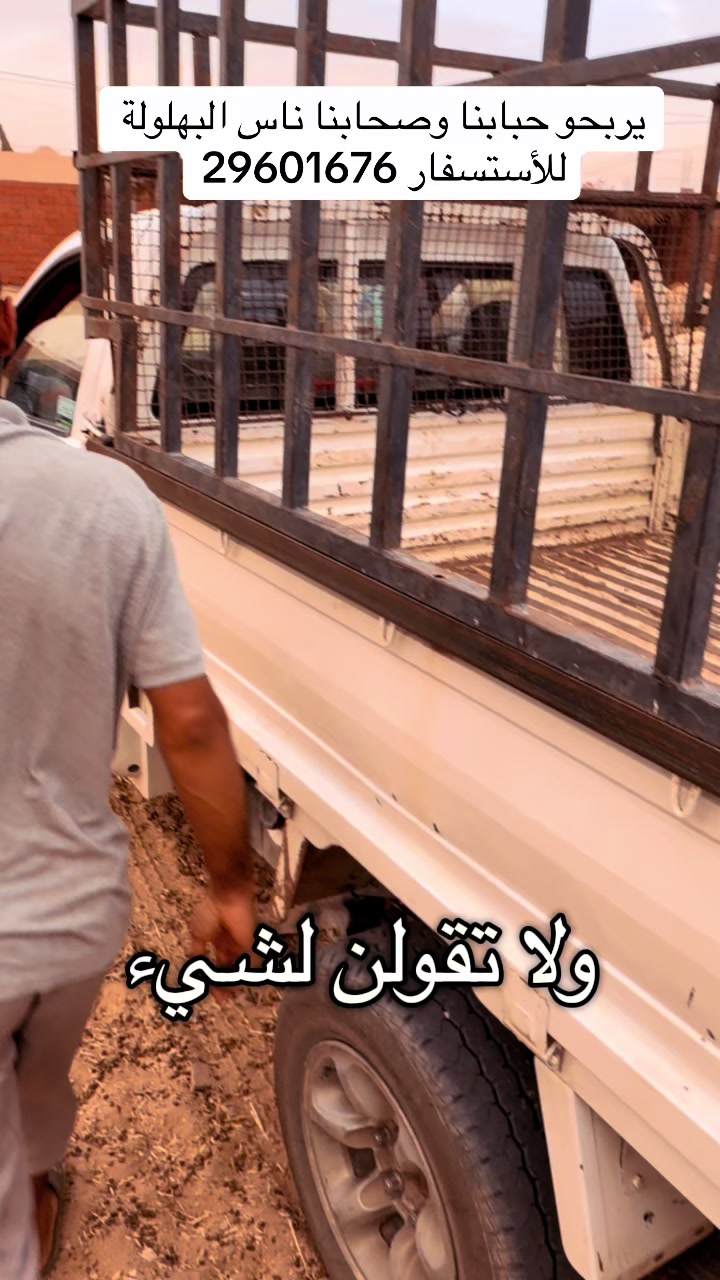 @بلال القفصي لبيع المواشي
