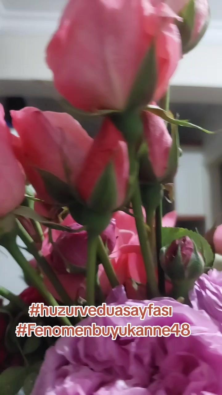 @Fenomenbuyukanne48