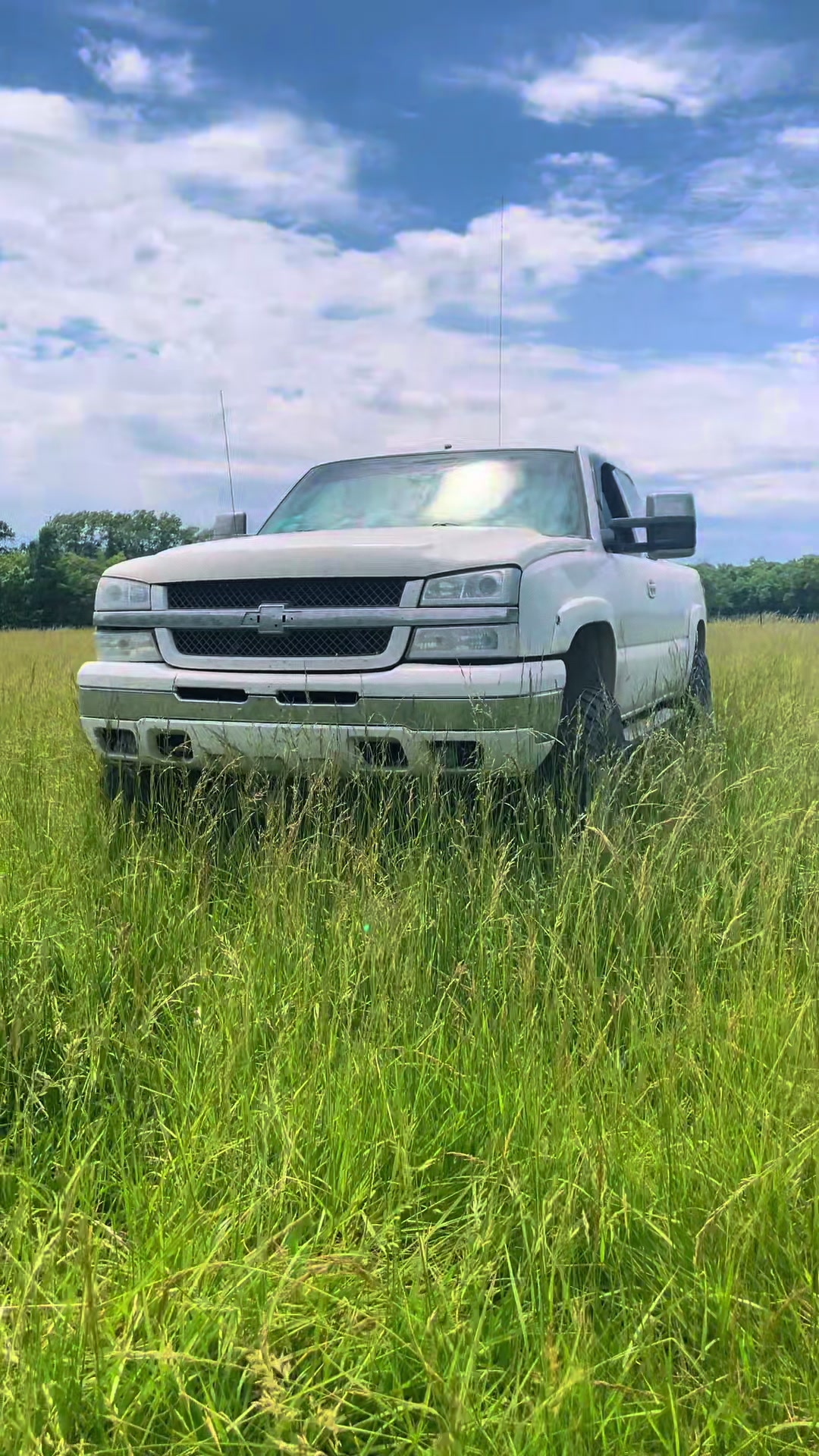 @06_whitecateye