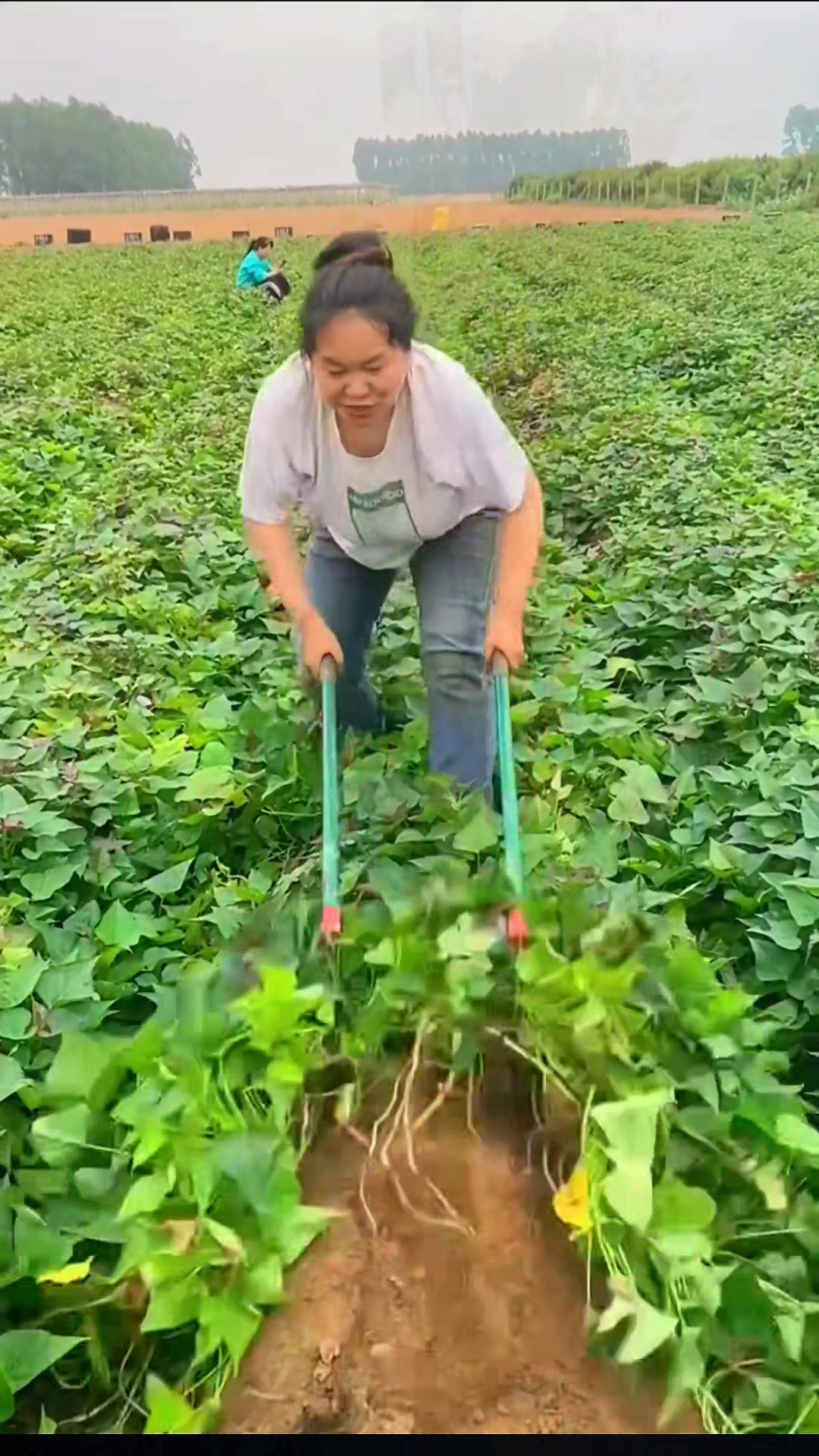 @lovefruits68