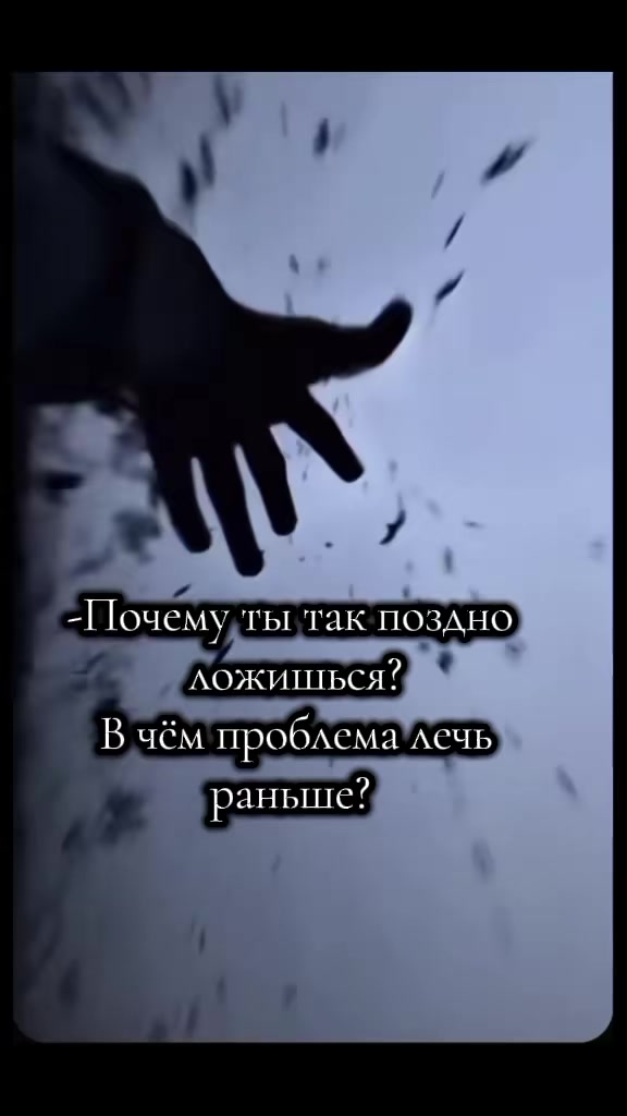 @🇰🇿👑🦁бешеный Лев🦁👑🇮🇱