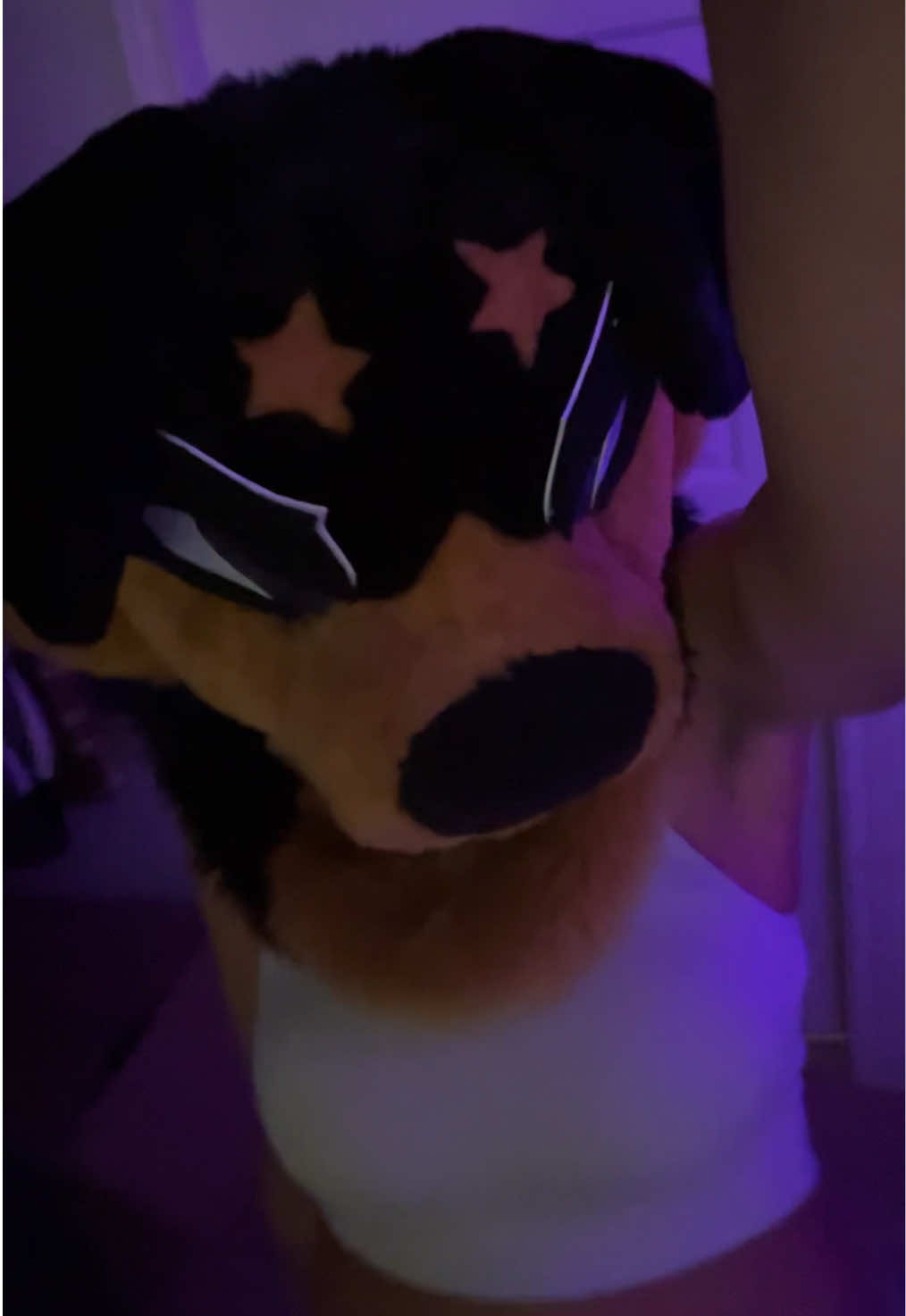 @✭ mawx