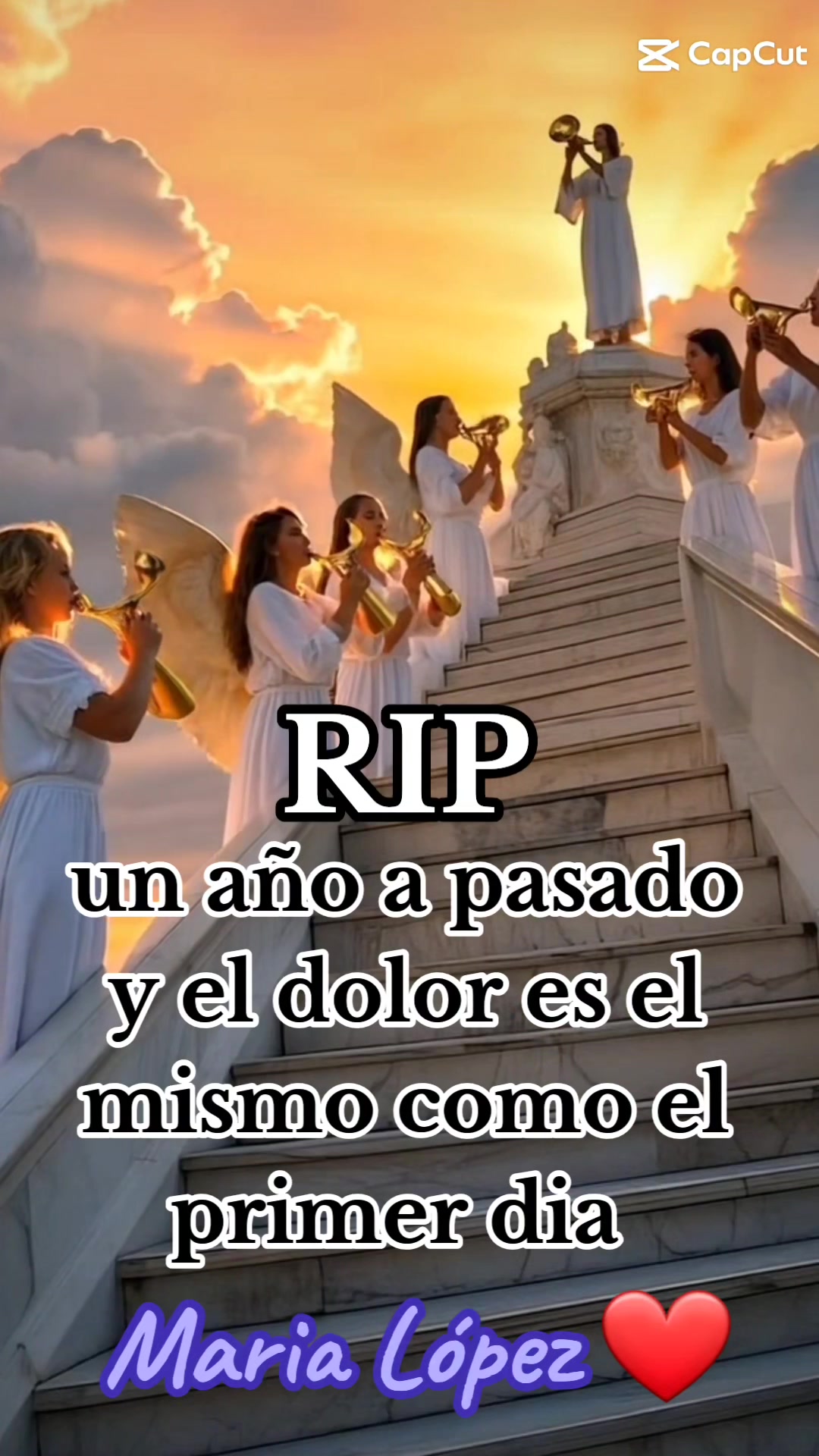 @8Mariposas8
