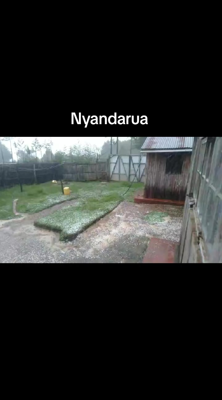 @njerinjoroge