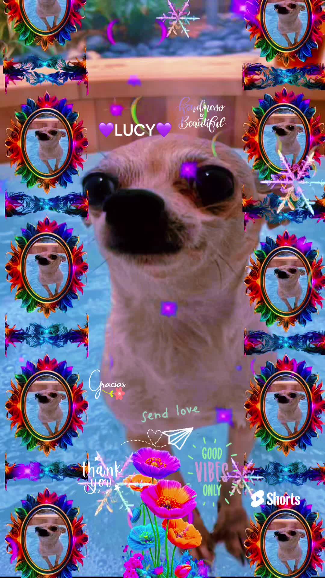 @Lucy