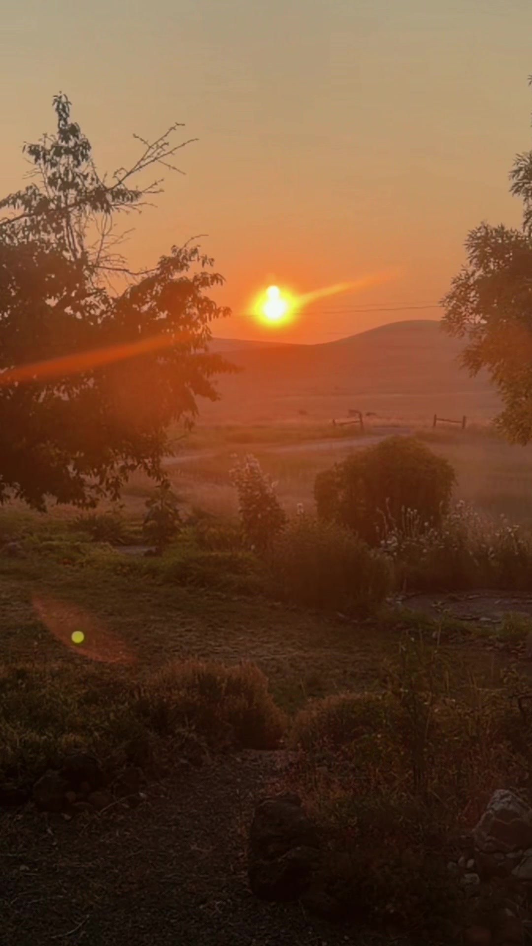 @Britt🍀