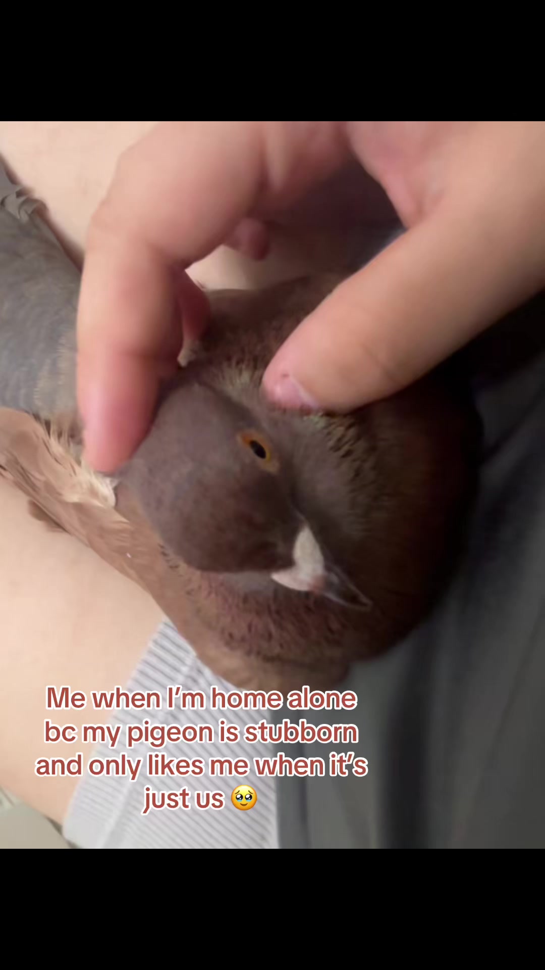 @⚛︎⋆˙ᴋʏʟᴇ˙⋆𓃵