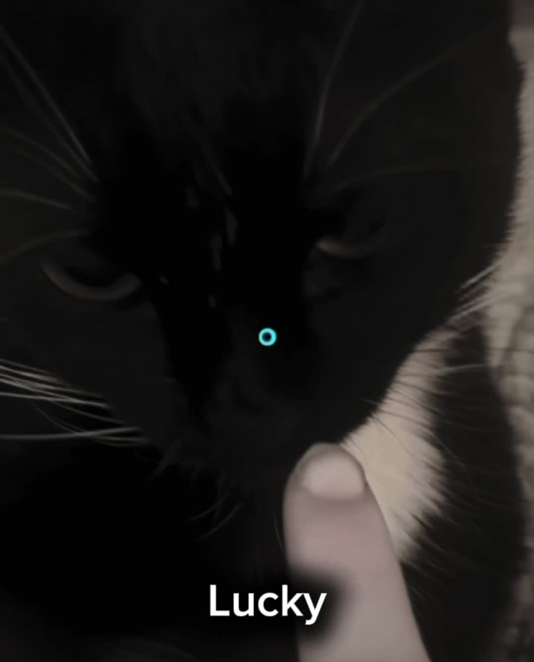 @Lucky
