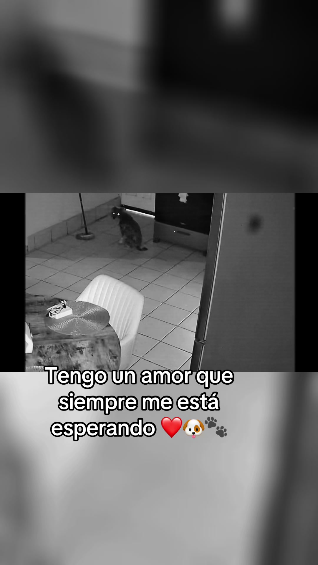 @Aldi Suarez