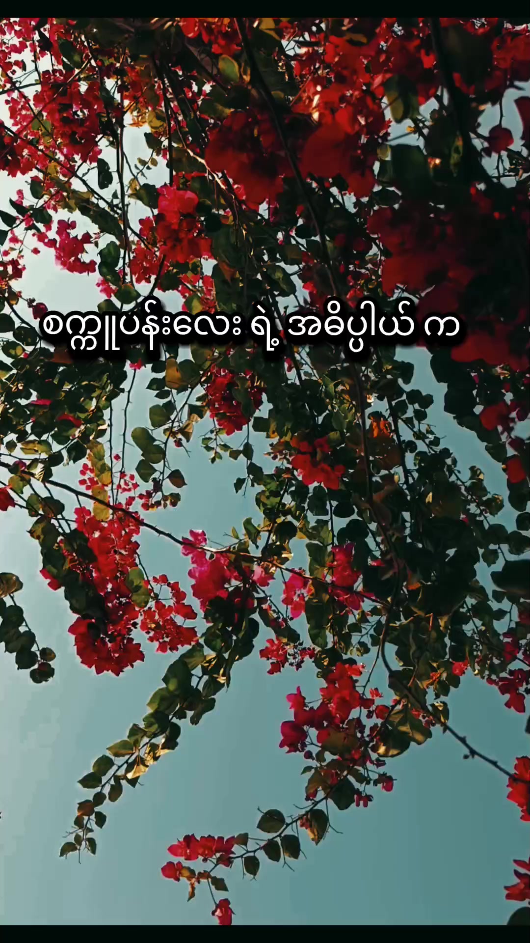 @Khant Moe Naing ツ