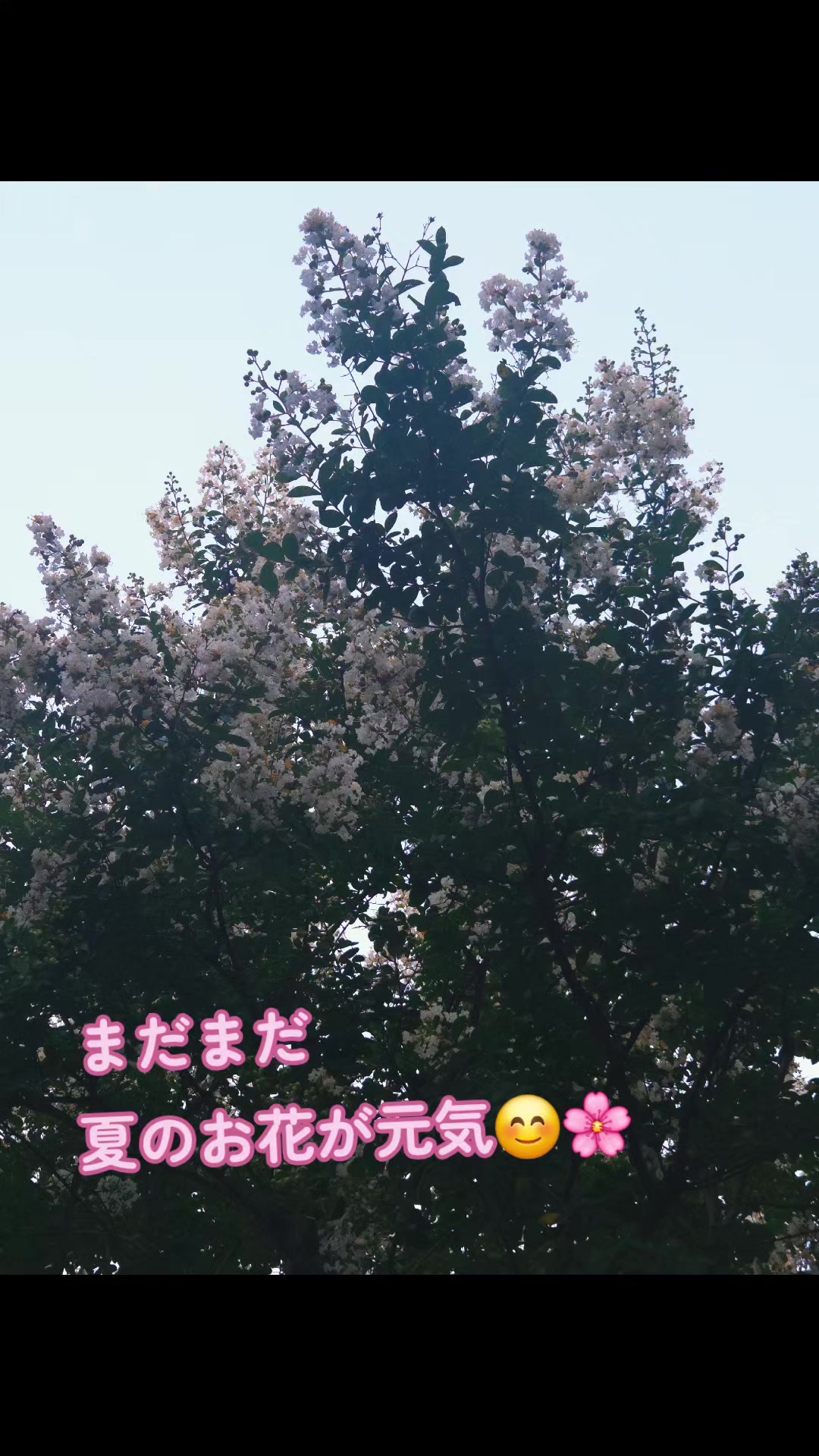 @マロン