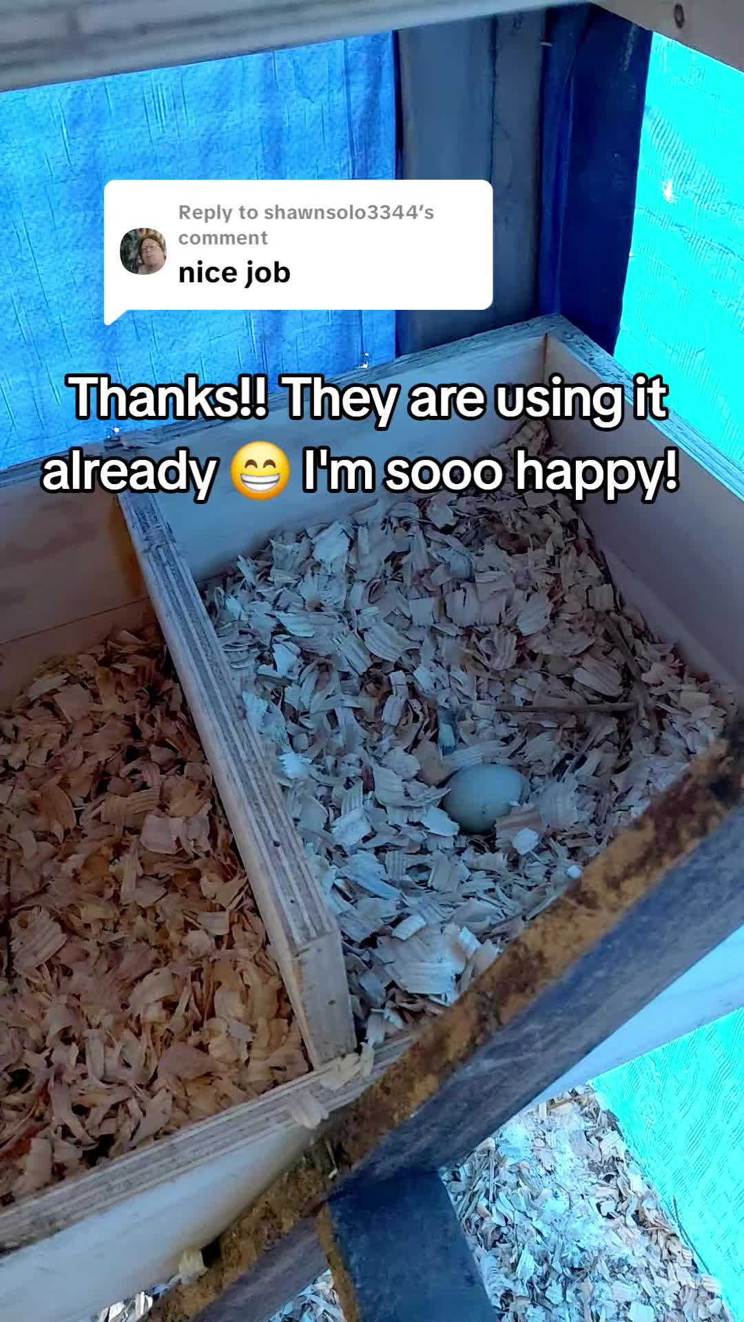@ShaRayRay