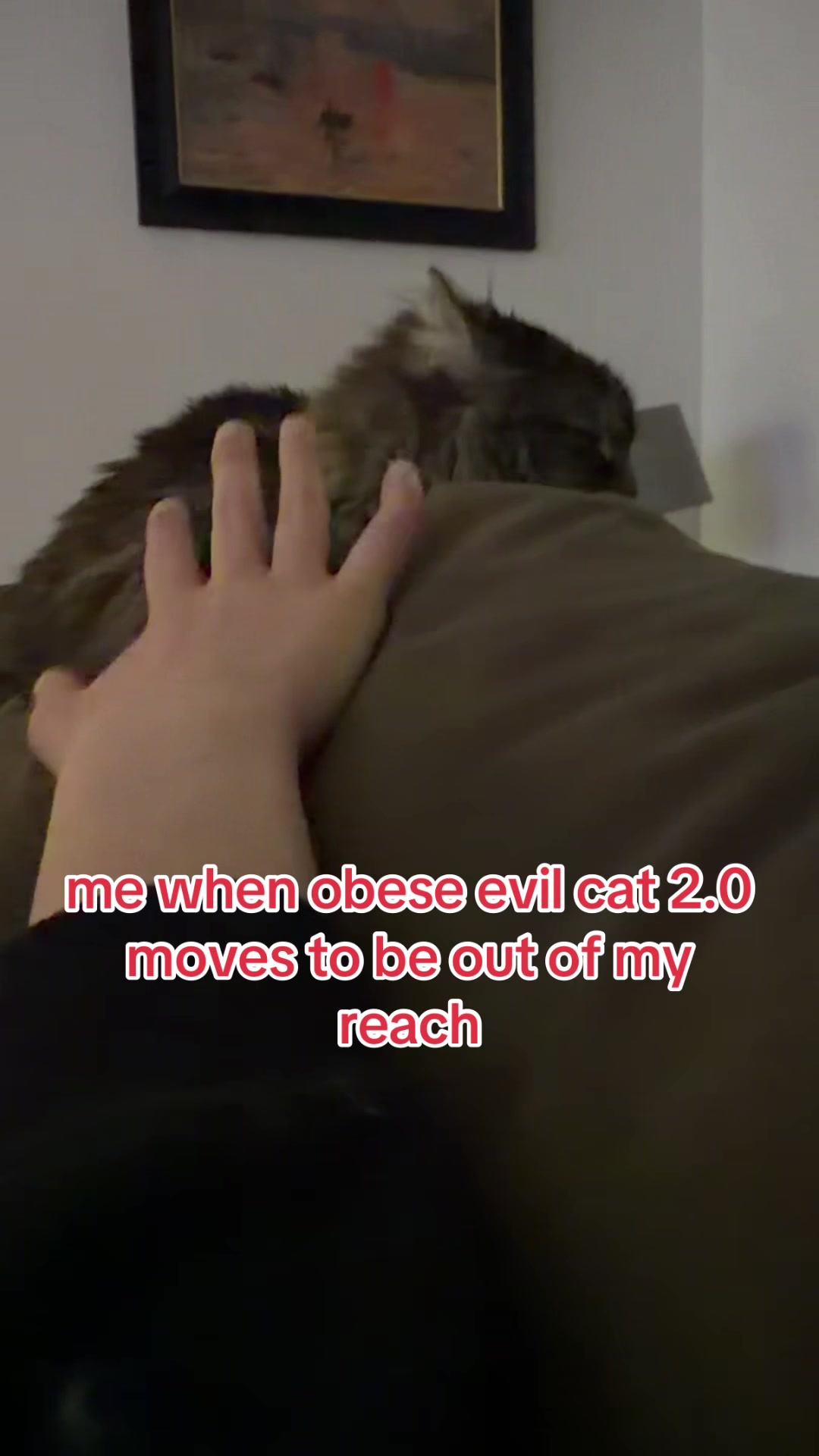 @marlie🕯️📺