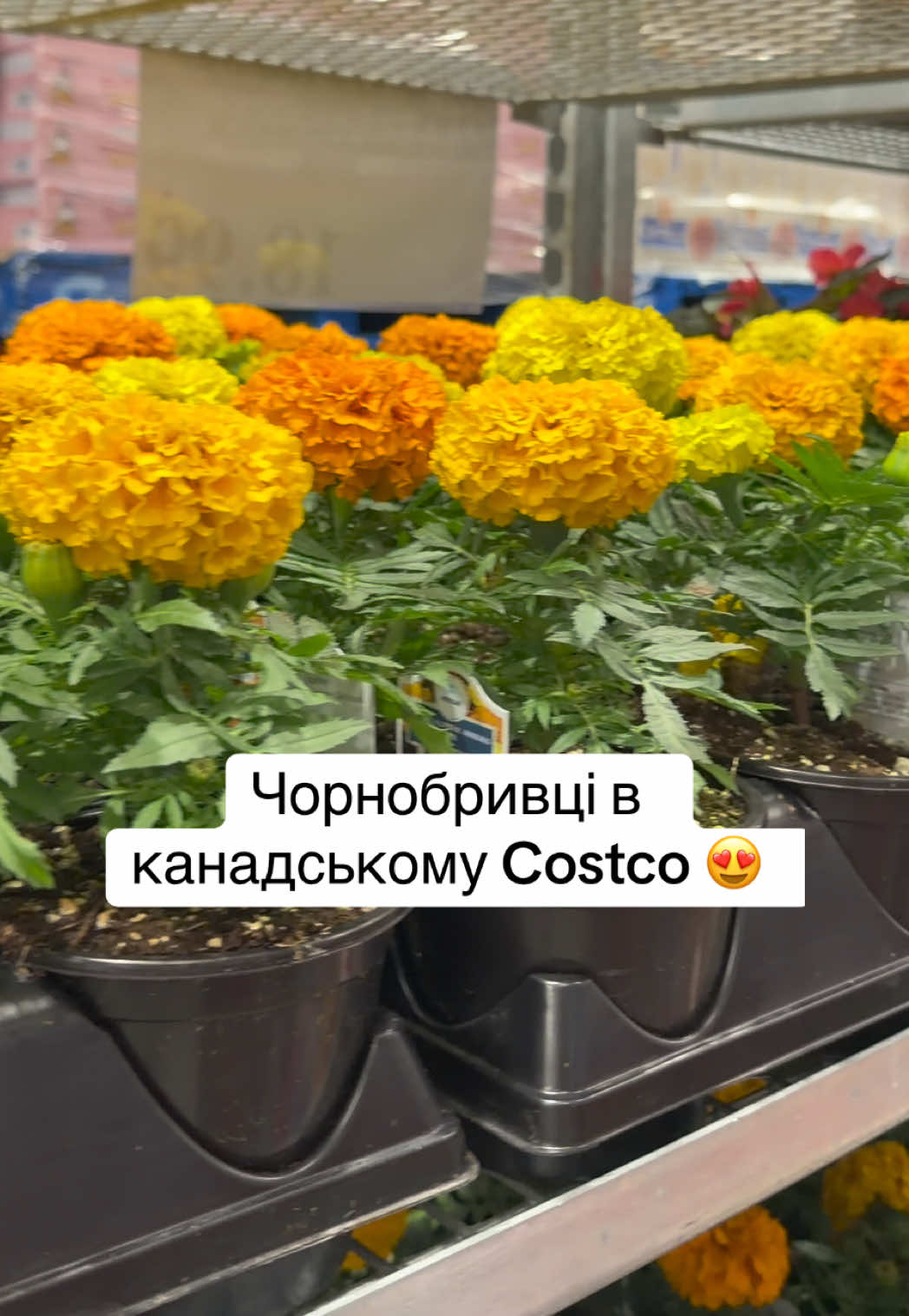 @Саша в квадраті 🧑&zwj;🧒 UGC
