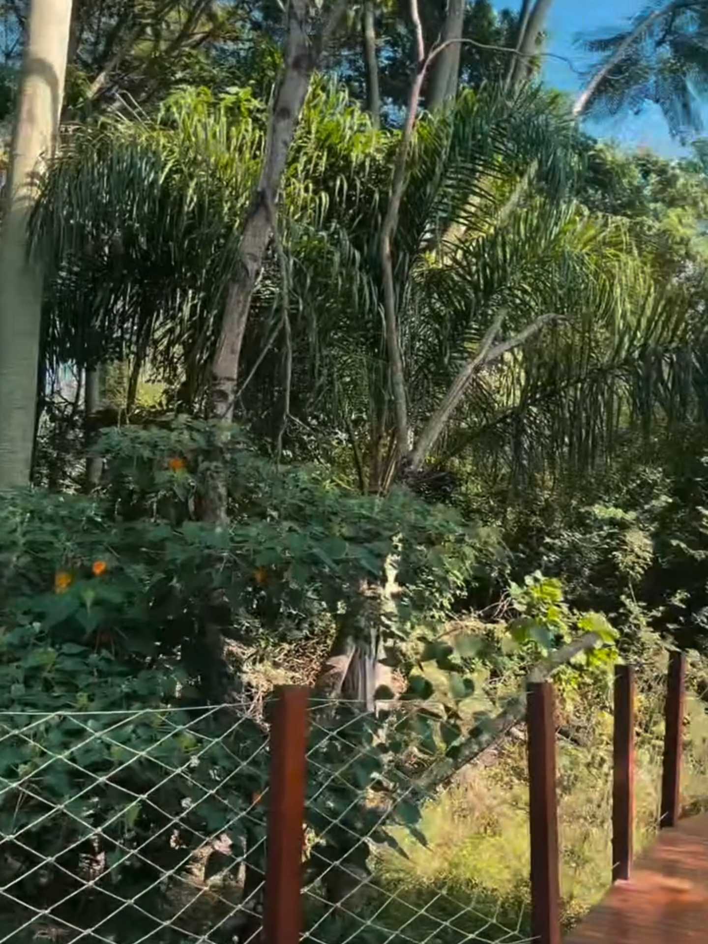@Parque Três Pescadores