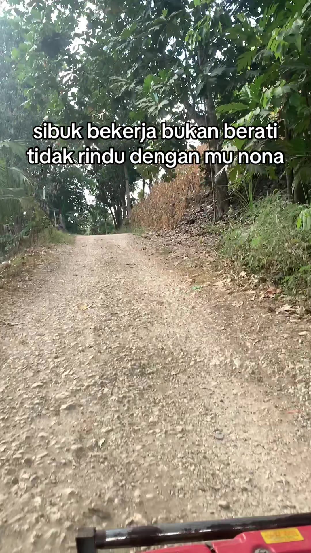 @labeccu_11