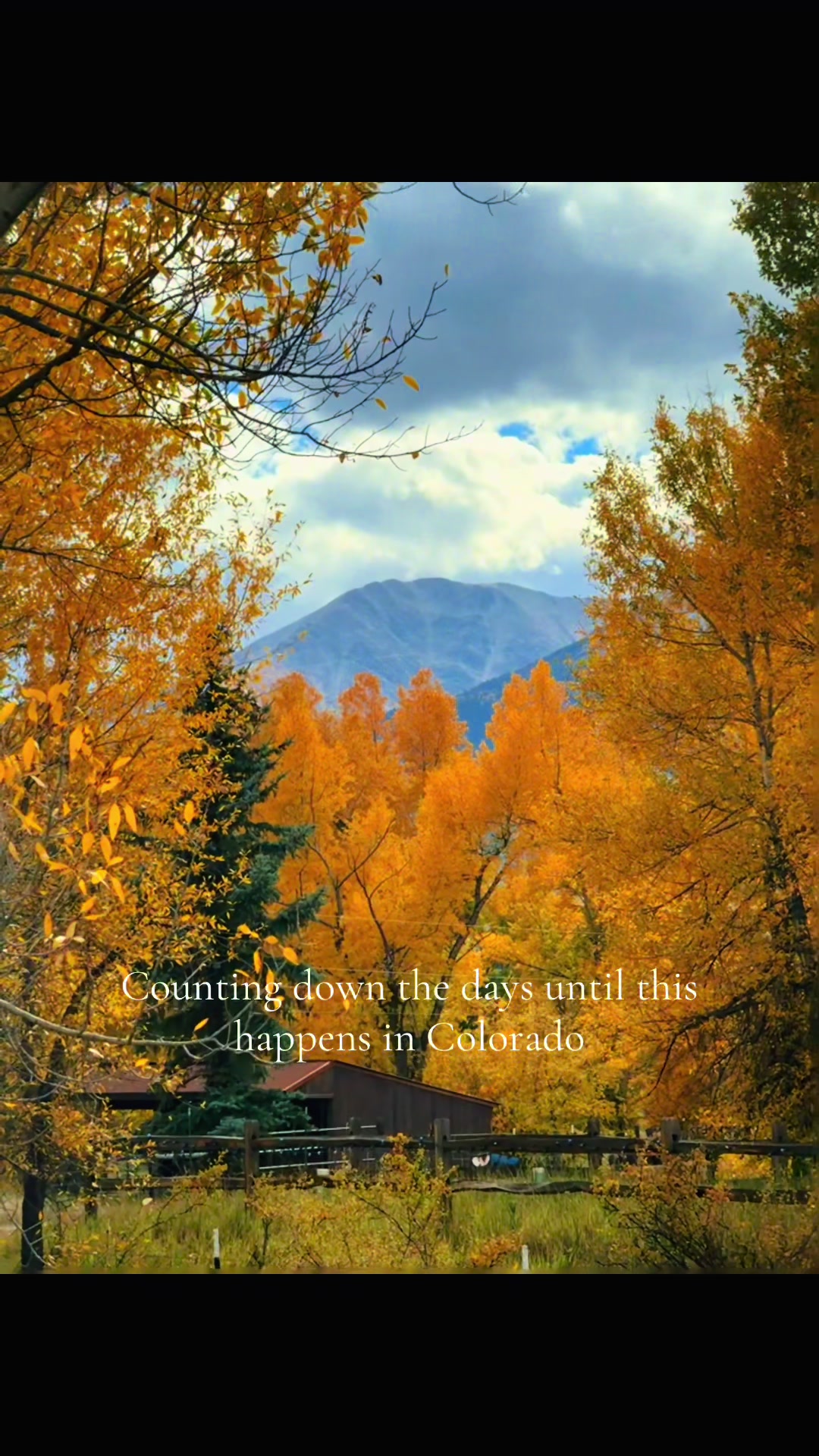 @TravelChaffeeCounty