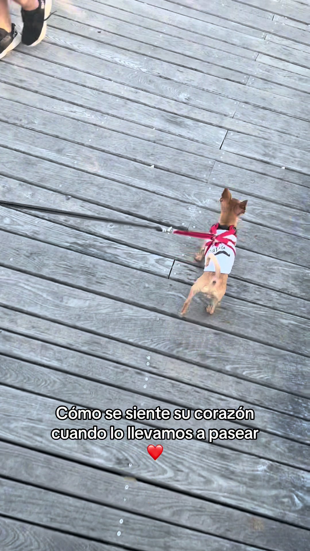 @Gloria Hernandez