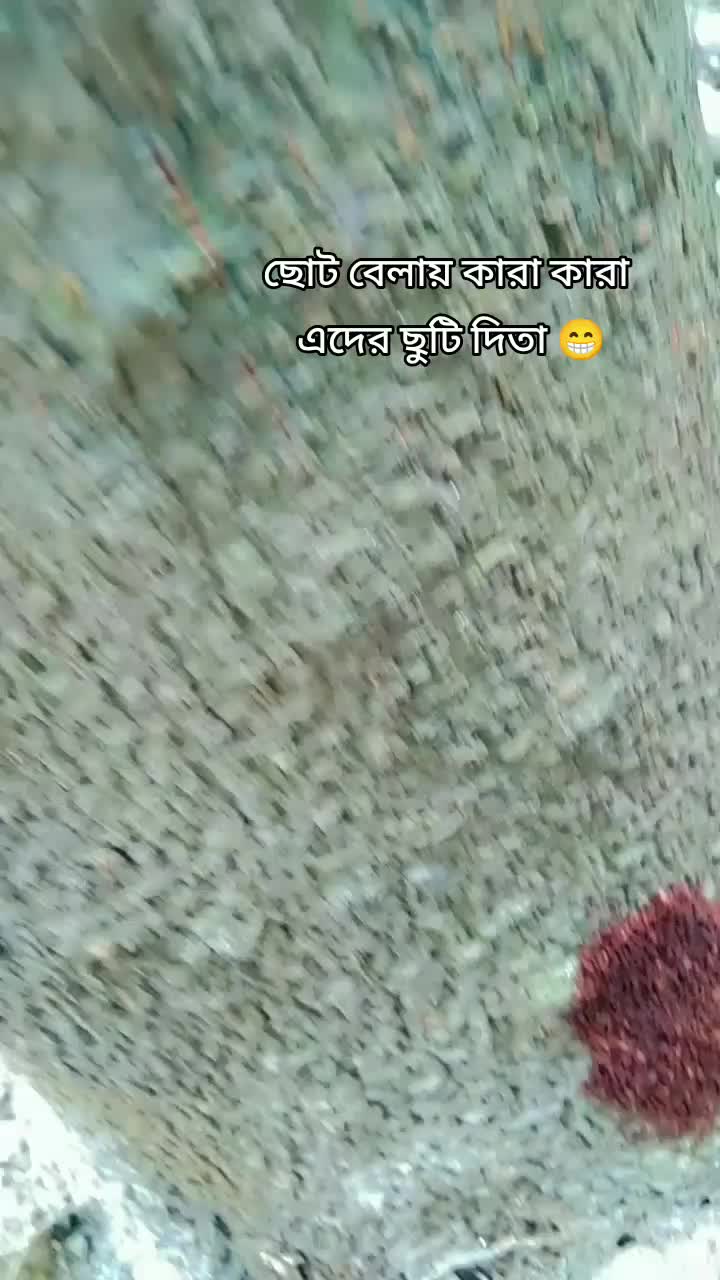 @Shakila🇧🇩
