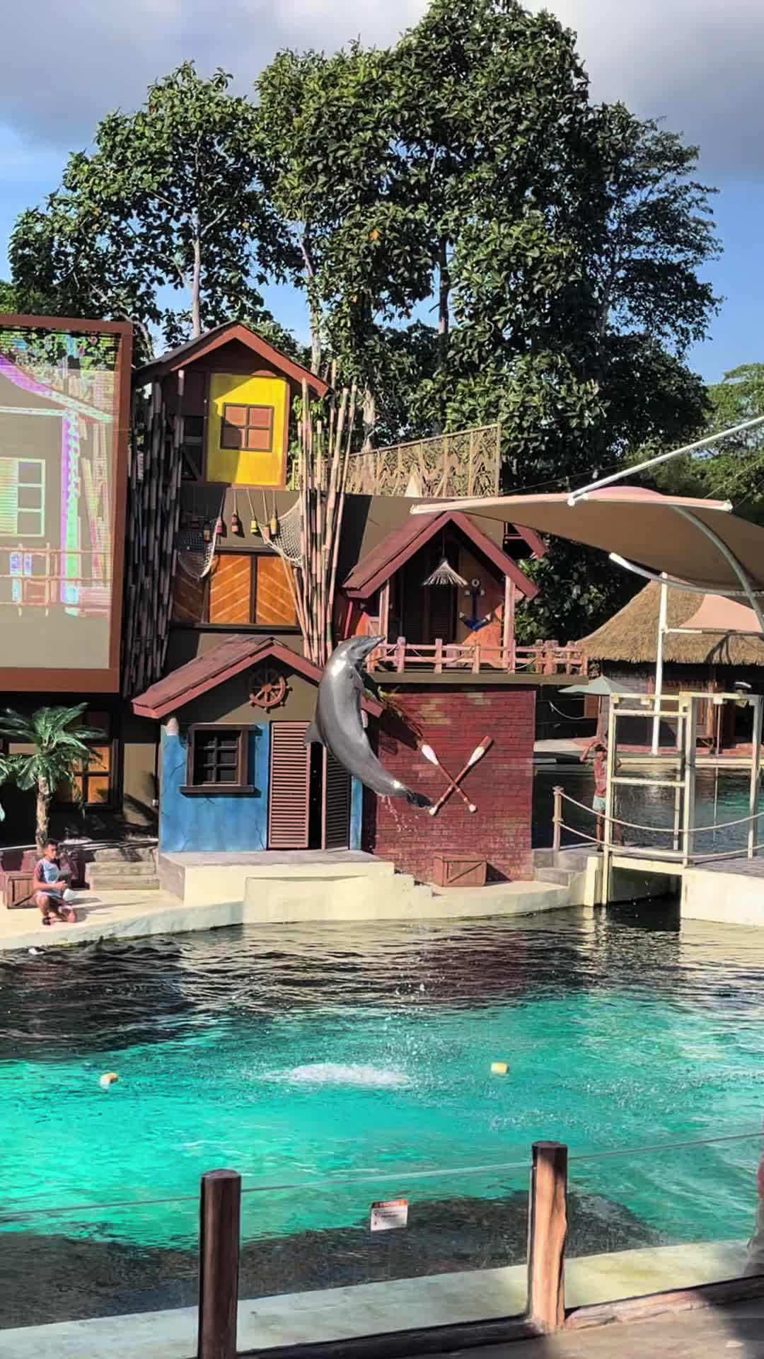 @Sentir_nurbali.com
