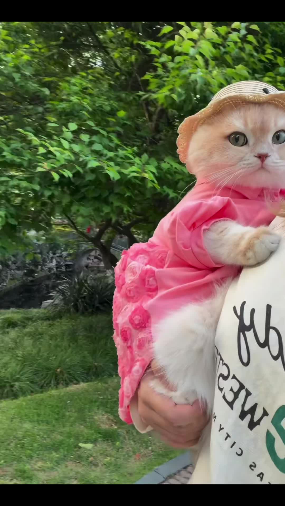 @My Daily Dose of Aww