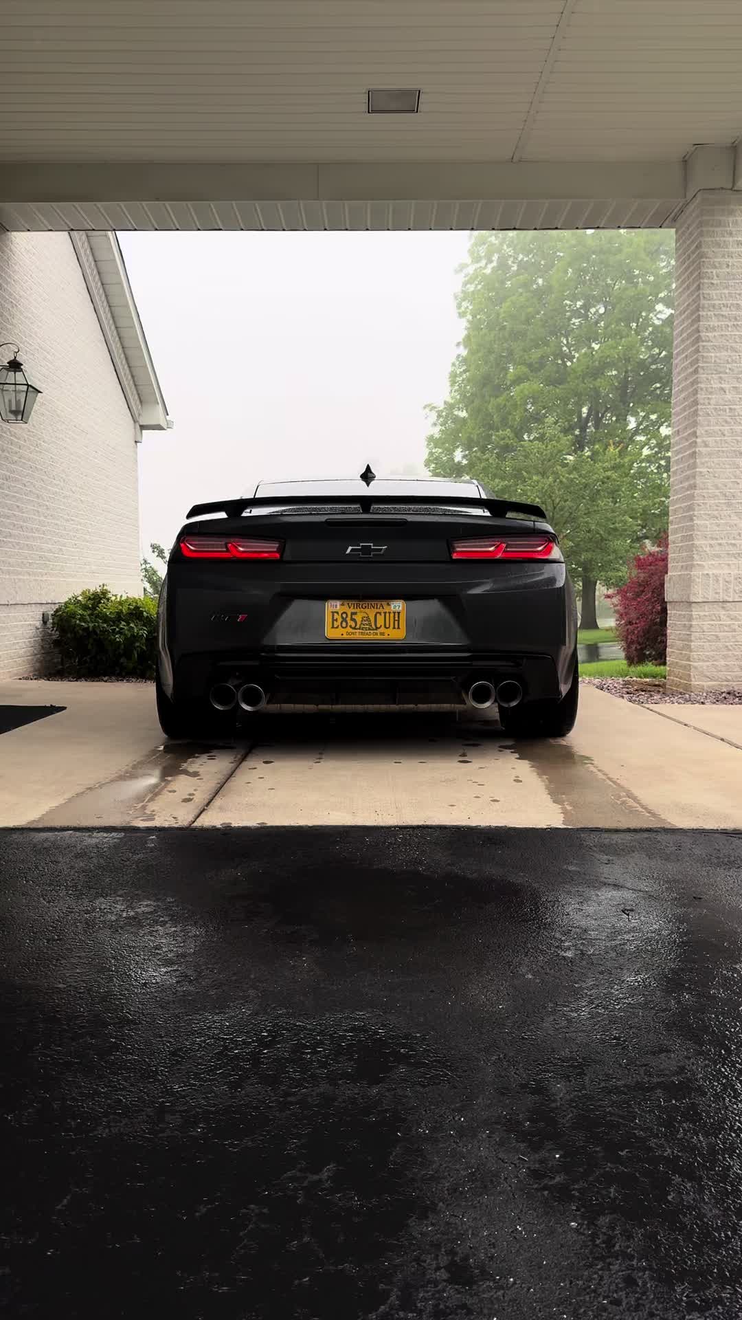 @LT1._ED