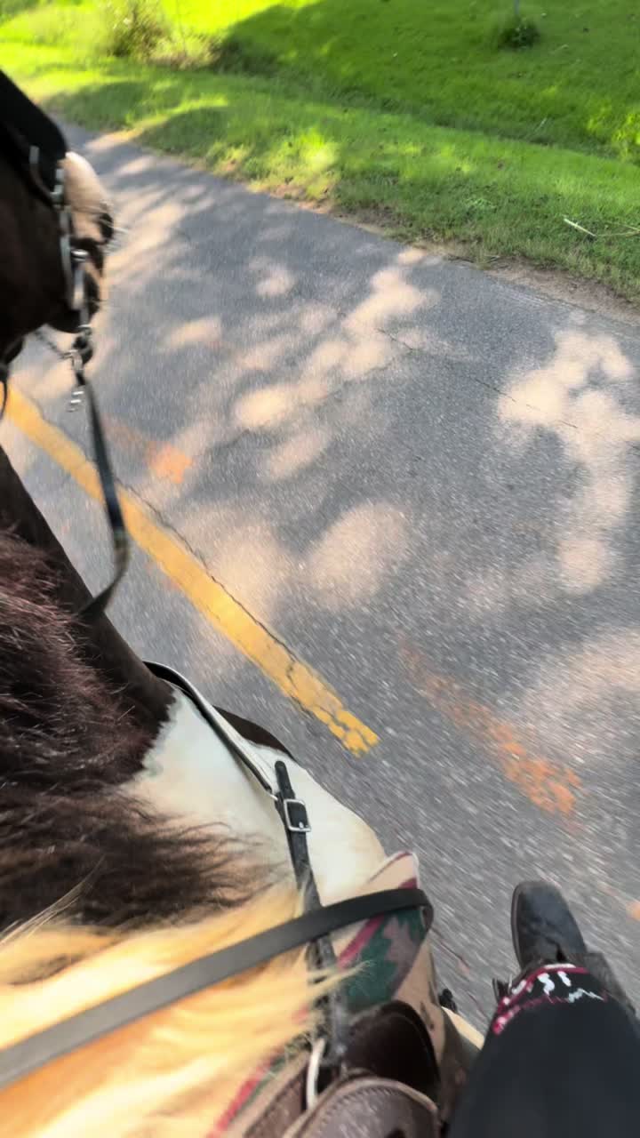 @likountrysosmovee🤠.