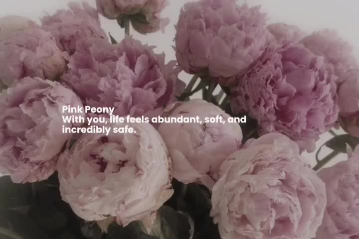 @🌸│NINIX &middot;🌷│