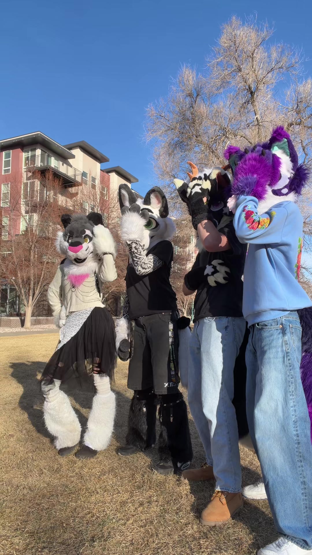 @Starlight @ FWA