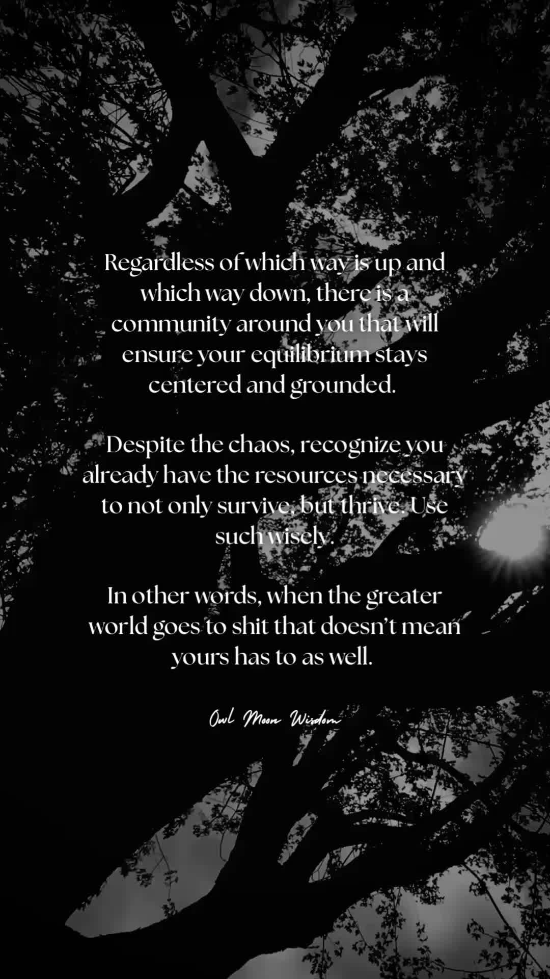 @owlmoonwisdom