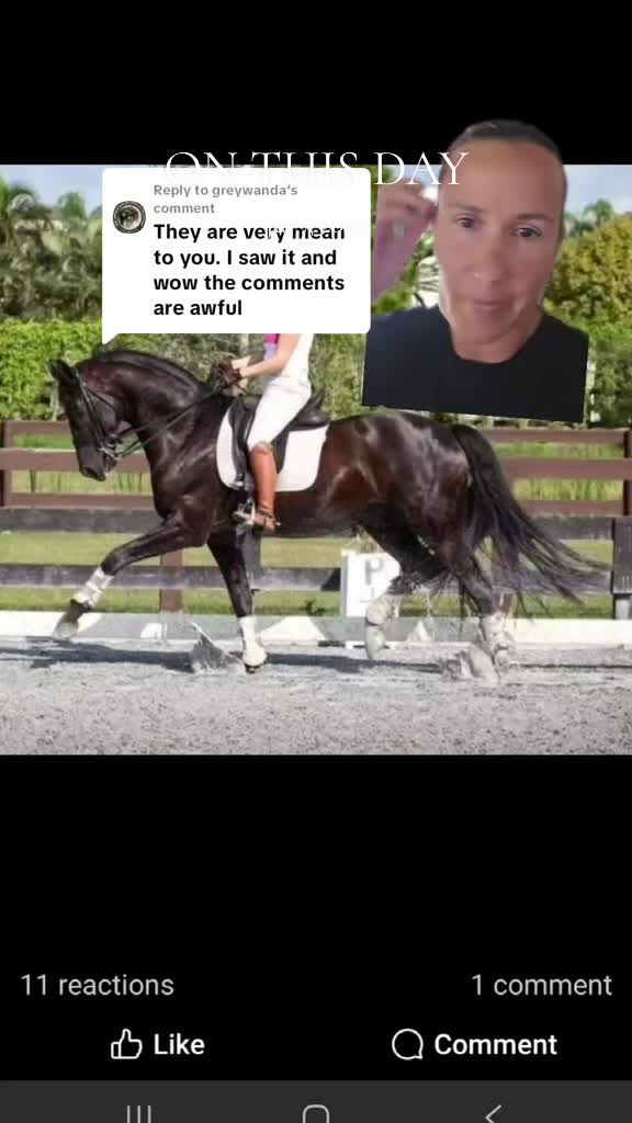 @DressageHub