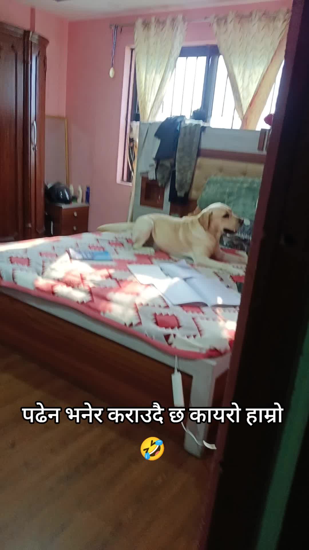 @anjju anu neupane✍️