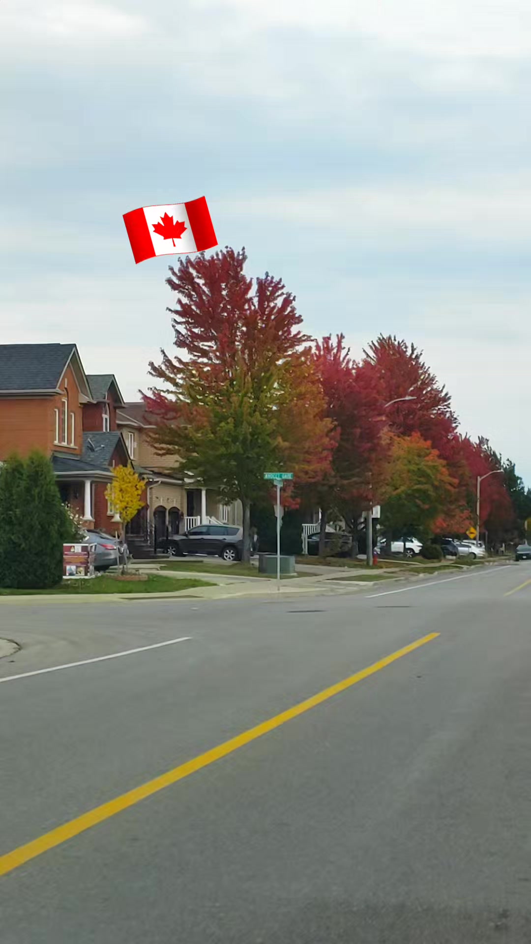 @Sher khan🇨🇦🥀