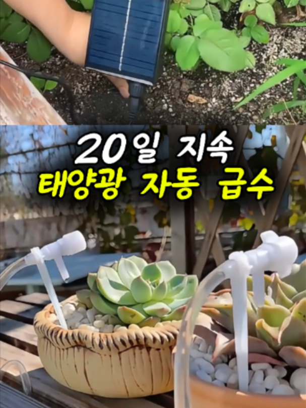 @부러쇼핑