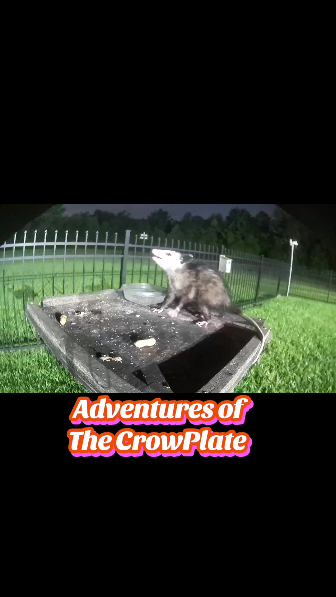 @Buffy_In_Louisiana