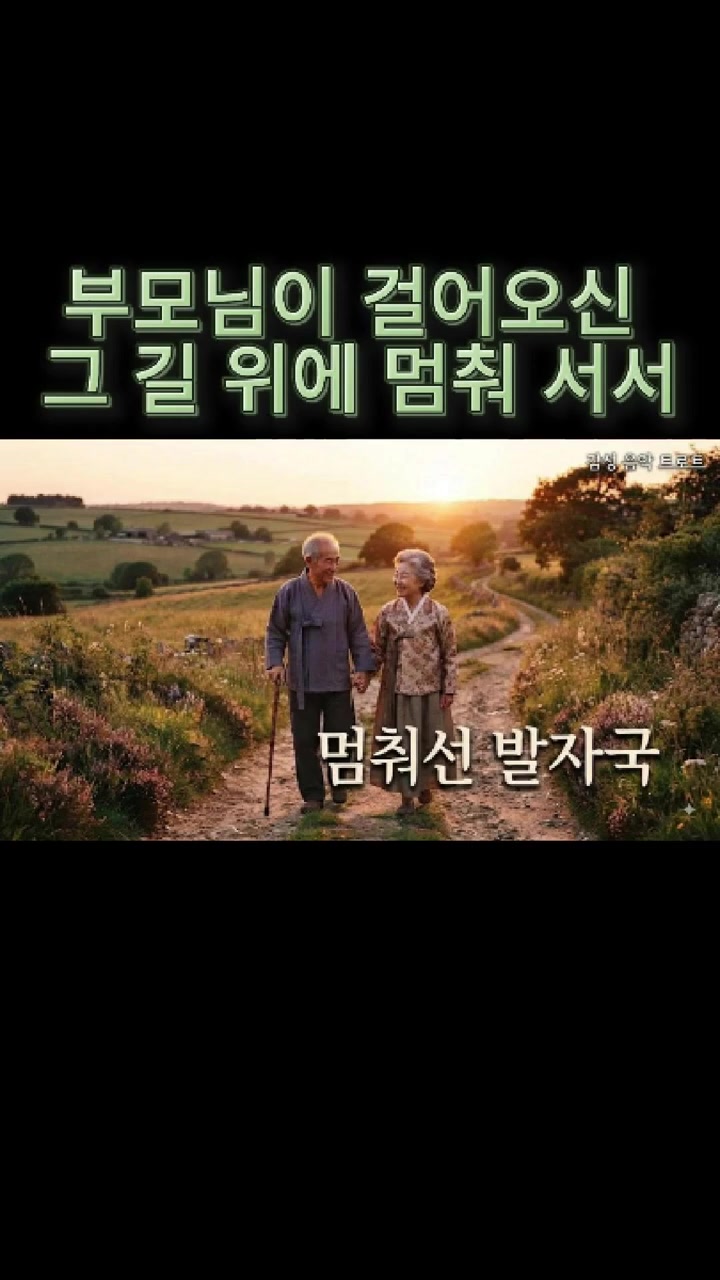 @감성 음악 트로트
