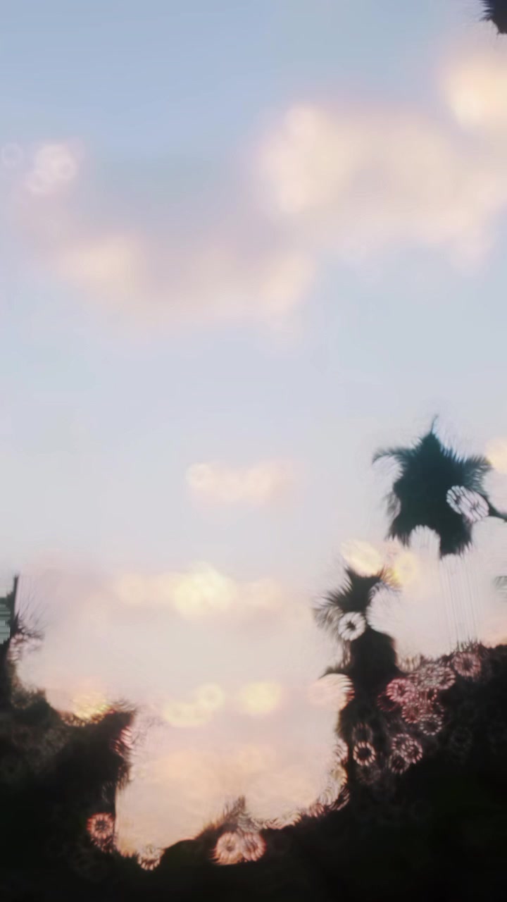 @🐼🕊️&deg;ᥫ᭡..𝗠𝗨𝗡𝗡𝗜..ᥫ᭡&deg;🐼🌷