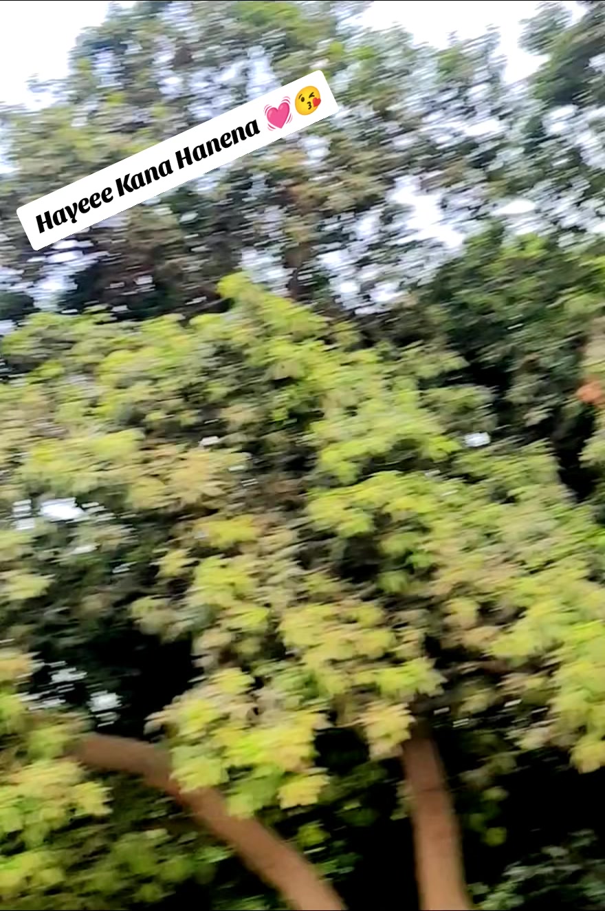 @🫀 NasaRpuR ke Jan 🤗