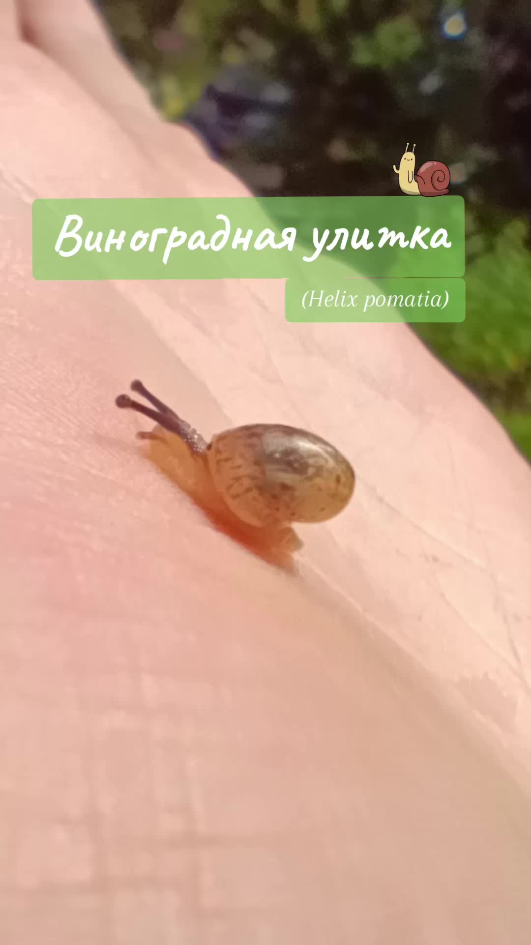 @Биология 🐢