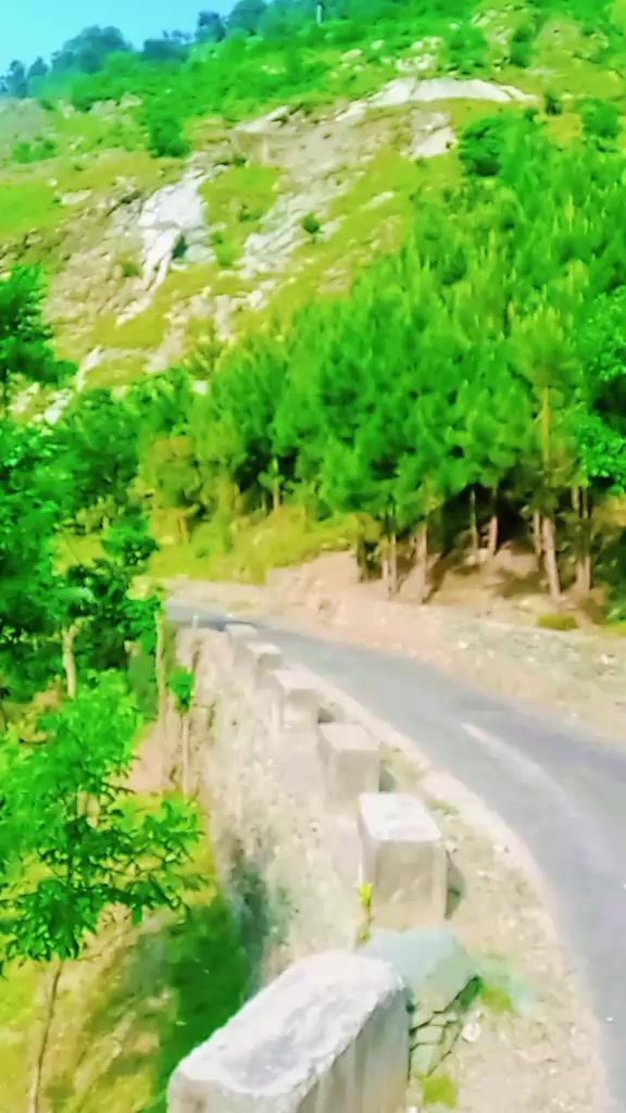 @raja babar