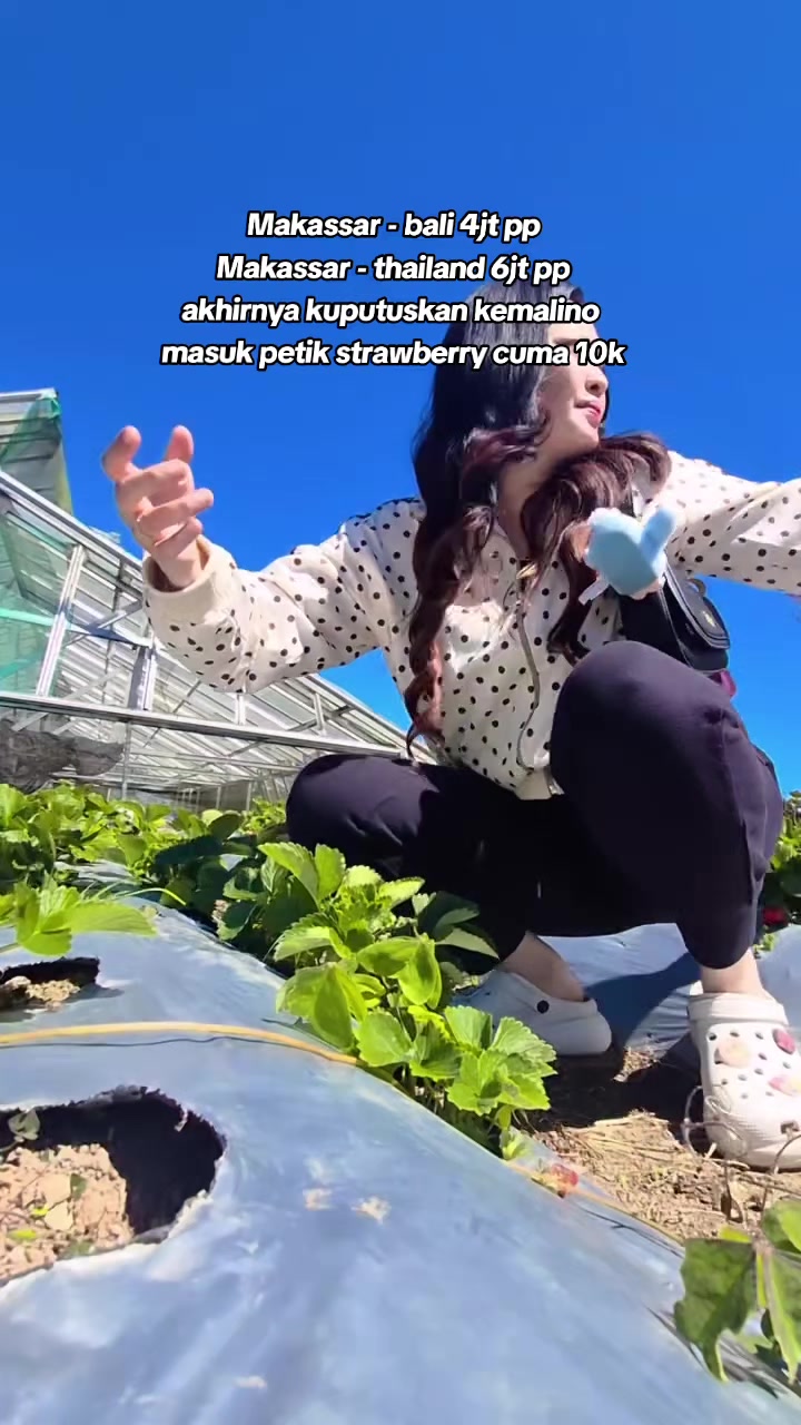 @wiwi wijayanti